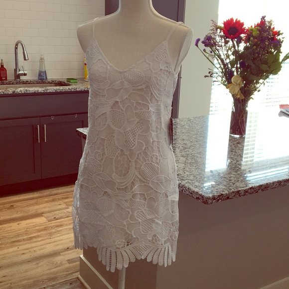 Express white Lace Trapeze Dress - Picture 4 of 7